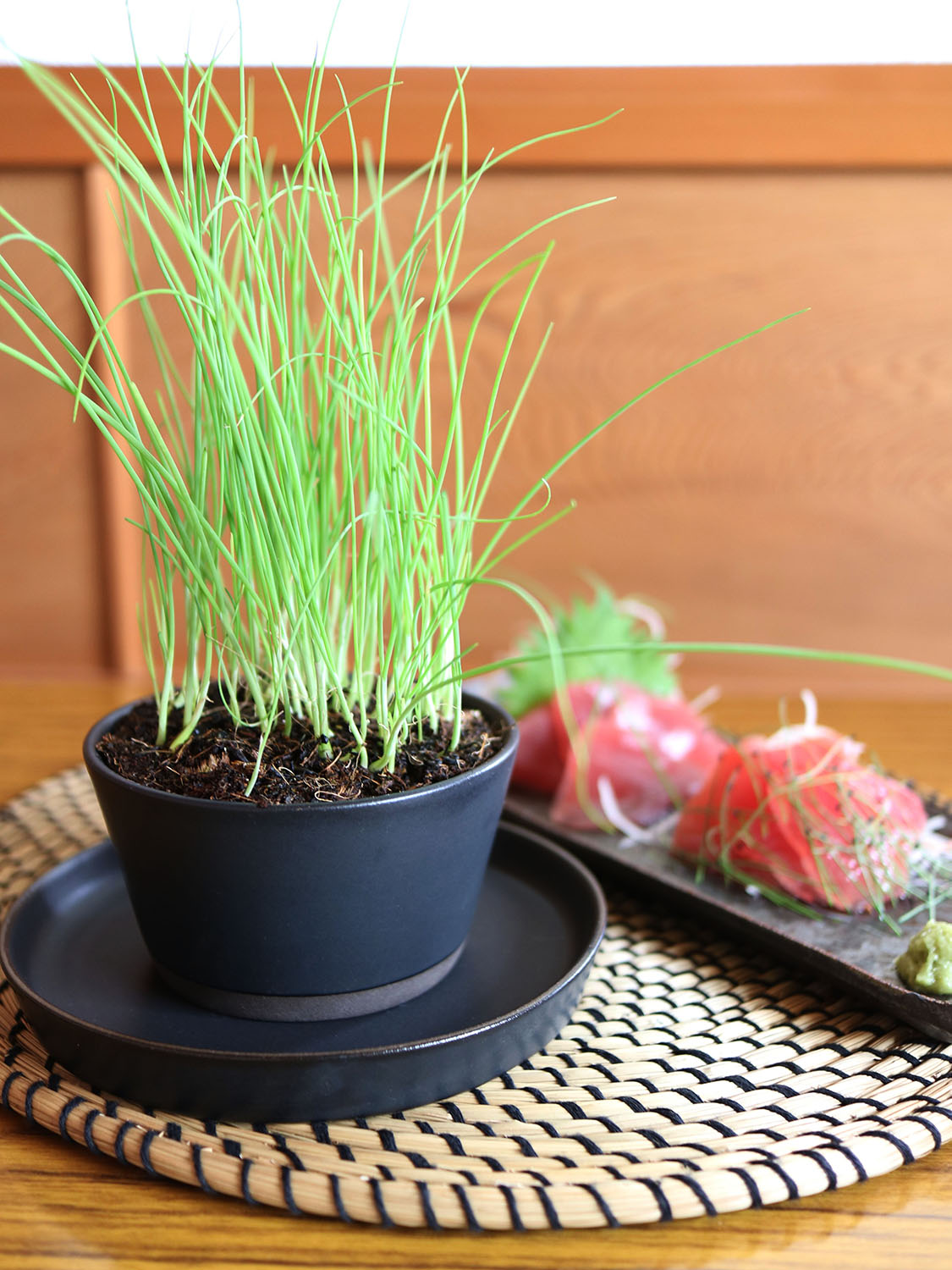 「テーブルにネギ畑」越津ねぎ×SAKUZAN4号鉢　〜伝統野菜を鉢植えで愉しむ〜